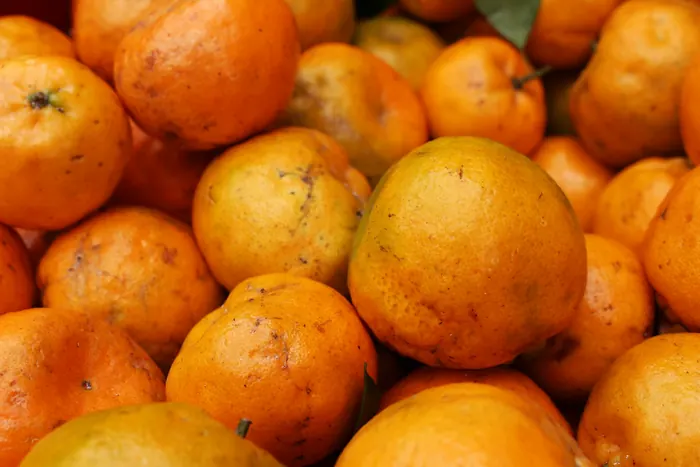 Photo d’illustration : petites mandarines de tailles différentes, à la peau marquée